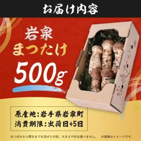 【2026秋発送】岩泉まつたけ 直送 500g_野菜 松茸 きのこ まつたけ マツタケ_【配送不可地域：離島】【1423376】