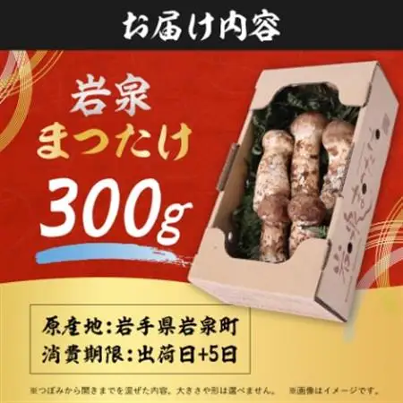 【2026秋発送】岩泉まつたけ 直送 300g_野菜 松茸 きのこ まつたけ マツタケ_【配送不可地域：離島】【1423380】