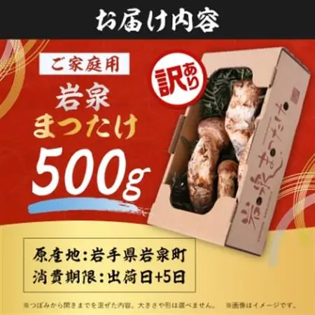 【2026秋発送】【訳あり】ご家庭用 岩泉まつたけ 直送 500g_野菜 松茸 きのこ まつたけ マツタケ_【配送不可地域：離島】【1423397】