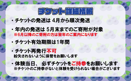 ブルーベリー狩り チケット 4名様
