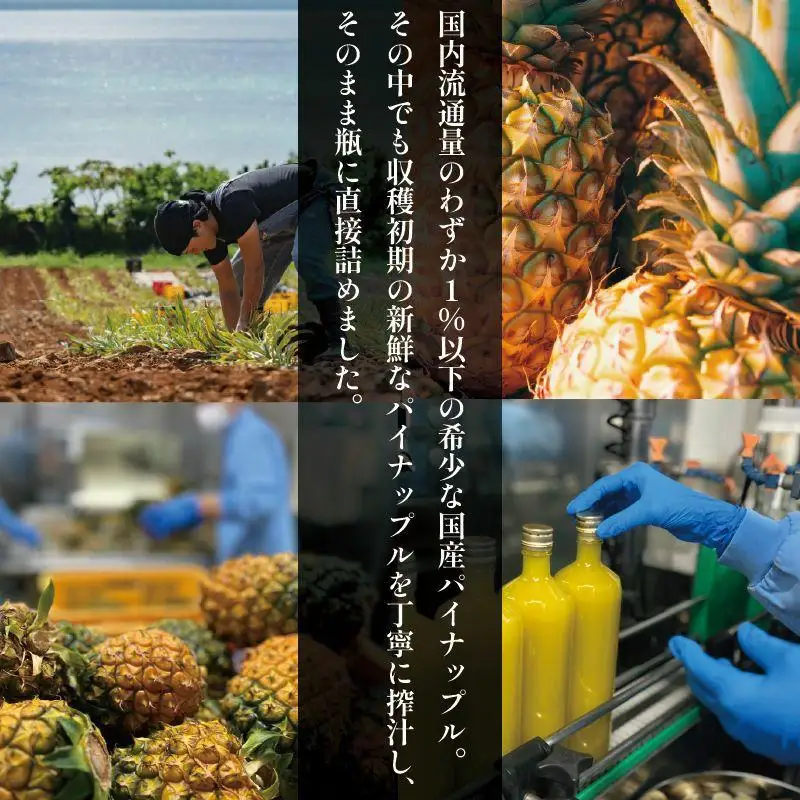 石垣島産パイナップルジュース100%直充 900ml 