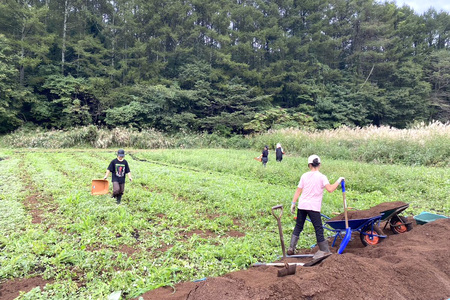 【2026年夏の予約受付開始！】信濃町名産とうもろこし『TAKA農園の恵味（めぐみ）ゴールド』2Lサイズ（1本450ｇ相当）×10本セット、約4.5kg／スイートコーンの人気品種、予約受付中！  令和8年7月下旬から8月下旬まで随時出荷予定【長野県信濃町ふるさと納税】