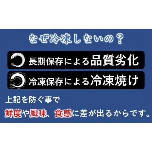 【土用の丑の日】うなぎ 蒲焼 3尾 炭火焼 無頭 炭火の香ばさ際立つ老舗 「うなぎの入船」熟成たれ付真空　小分け 国産＜13-3a＞