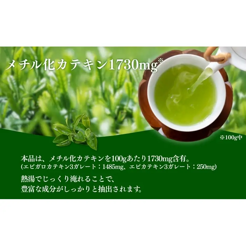 お茶 いしだ茶屋 べにふうき ティーバッグ 60包 カテキン