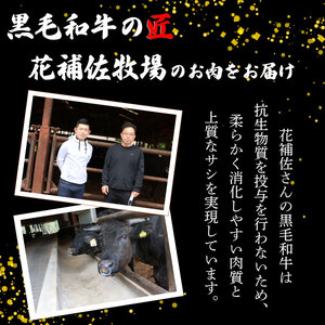 【 黒毛和牛 】 牛肉 切り落とし 1kg A5 牛肉 阿波華牛