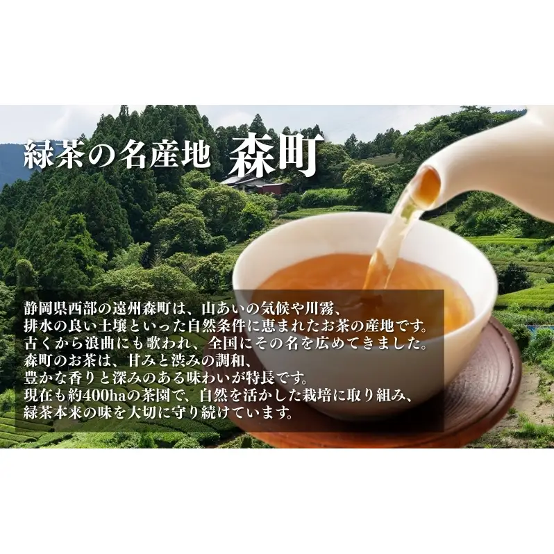 お茶 いしだ茶屋 上ほうじ茶 ティーバッグ 120包