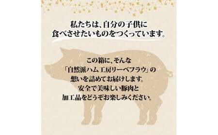 国産 豚肉 アイスバイン 700g (350g×2) レトルト ハム アイスバイン