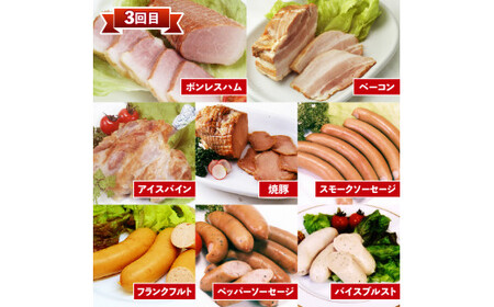 定期便 3回 ソーセージ ハム 詰合せセット 定期便  ハム
