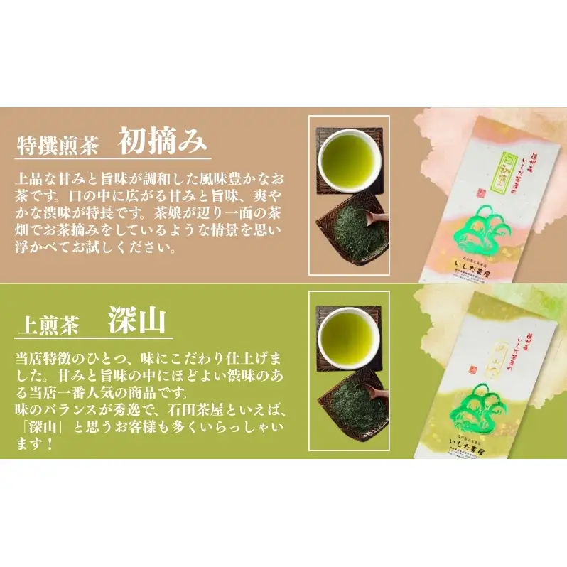 お茶 いしだ茶屋 極上 深蒸し茶 詰め合わせ セット ギフト