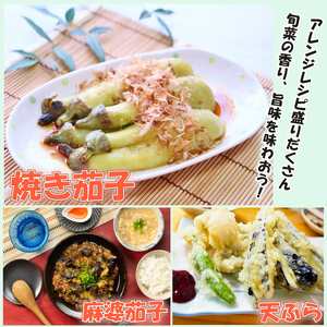 千両茄子 約1kg 美～ナス 3本 詰合せ 翡翠茄子 千両なす 茄子 ナス なす