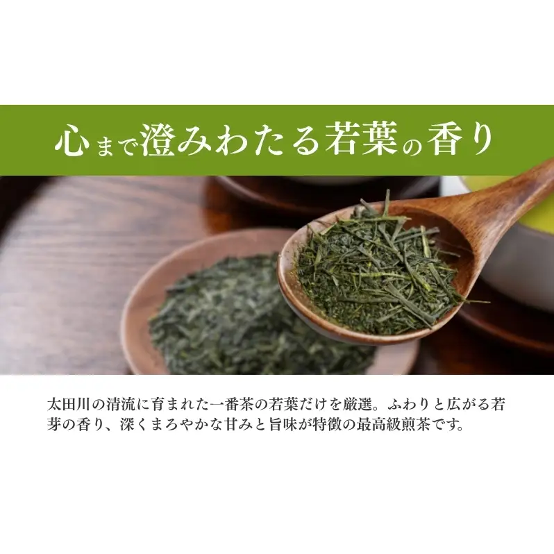 お茶 いしだ茶屋 最高級 煎茶 きらめき 100g 5袋 贈答