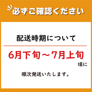 メロン 3kg 3玉 クールボジャ 希少種 メロン