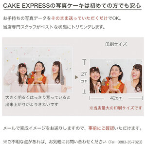 ケーキ 写真ケーキ スクエア 50×34cm プリントケーキ 結婚式 デザートフルーツ イチゴ キウイ オレンジ 洋菓子 デザート スイーツ ケーキ ロールケーキ シュークリーム エクレア プリン 焼菓子 おやつ お菓子 ギフト 贈答 プレゼント 記念日 誕生日 冷凍 送料無料 徳島県 阿波市