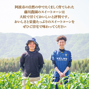 とうもろこし 5kg  おおもの とうもろこし