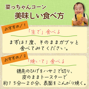 とうもろこし みらい 約4kg 12～18本 コーン スイートコーン とうもろこし 