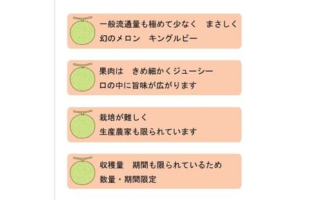 2026年夏発送 【数量・期間限定】 ふらのメロン キングルビー 秀大2玉 計4kg以上 富良野メロン 赤肉 めろん 北海道 甘い 大きい
