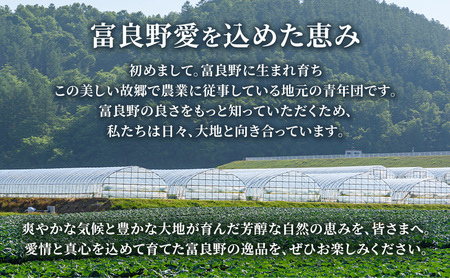 2026年夏発送【先行受付】 ふらのメロン 赤肉 秀大2玉 計4kg以上 富良野メロン 赤肉 めろん 北海道 甘い 大きい 果物 フルーツ