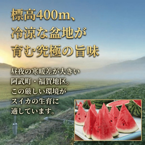 【先行予約】 福賀 すいか 秀大 約9〜10kg 圧巻の大玉＆シャリシャリ食感 高糖度 山口県 阿武町産 1個（希少1株1玉栽培） 産地直送 【2026年7月上旬～順次発送予定】