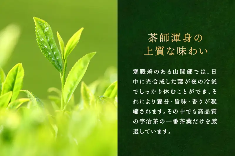 宇治深蒸し煎茶「松の匠」1kg（250g×4本）〈緑茶 茶葉 宇治