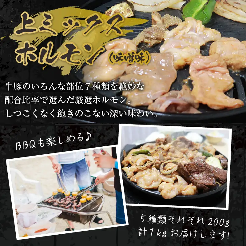 越前ホルモン屋 味噌漬け 人気ホルモンセット（計1kg）約8～10人前 ／ 味付け肉 豚肉 牛肉 小分け タレ漬け 焼肉 バーベキュー 冷凍 人気 キャンプ飯 BBQ 焼くだけ 時短調理 [aw001-a011]