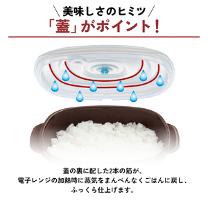 [ 真空おひつ ] 真空ポンプ付き 真空保存容器 電子レンジ対応 密閉 キッチン アサヒ軽金属