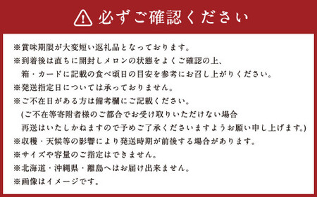 【3ヶ月定期便】訳あり 静岡県産 アローマメロン 1玉 約1.0kg以上×1玉×3回 計約3.0kg以上 化粧箱入 訳アリ 訳あり 果物 フルーツ メロン めろん 青肉 高級 高級ブランドメロン ブランドメロン 高級メロン