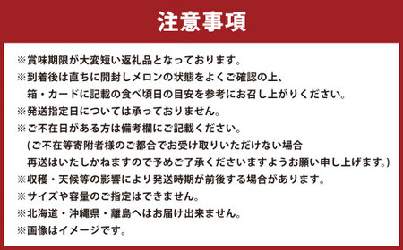 【3ヶ月定期便】静岡県産高級 アローマメロン 山等級1玉 約1.3kg以上×1玉×3回 計約3.9kg以上 化粧箱入 果物 フルーツ メロン めろん 青肉 高級ブランドメロン ブランドメロン 高級メロン 贈答