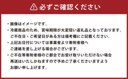 松阪牛 サーロイン ローストビーフ 約500g【たわら屋】 お肉 牛 牛肉 和牛 国産牛 ブランド牛 惣菜 贈答 ギフト 静岡 静岡県 菊川市