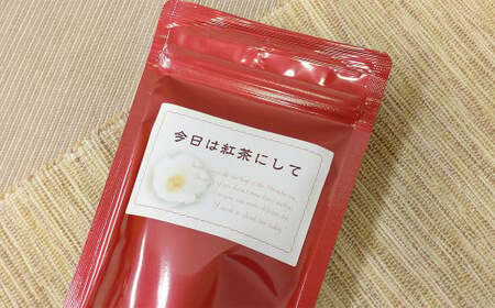 お茶専門店の作った変わり種！た～んと入った 2種 9袋セット お茶 お茶セット ティーバッグ 緑茶 緑烏龍茶 和紅茶 静岡緑茶 日本茶 茶葉