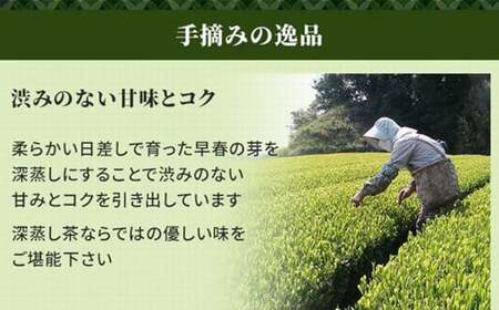 【かえで缶】学生さん達と考えた 深蒸し茶 ギフトセット！ 絵柄が選べる200g缶 （200g×2缶 計400g）！ センスが光る オシャレな 茶缶 セット！ お茶 茶缶 緑茶 深蒸し茶 静岡緑茶 日本茶