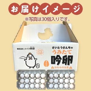 さいとうさんちのうみたて吟卵　40個入り 卵