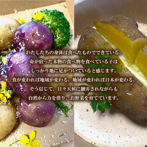 【2026年6月上旬以降順次発送】じゃがいも 5kg デストロイヤー 野菜 農家直送 季節限定 芋 おいも下関 IN101