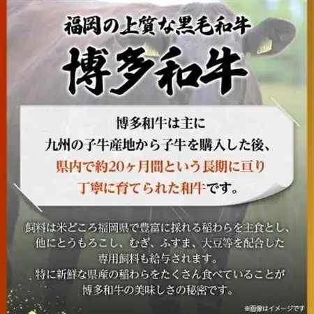 博多和牛切り落とし　400g_肉 黒毛和牛 牛肉 _【配送不可地域：離島】【1514634】