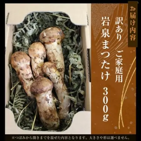 【2026秋発送】【訳アリ】 岩泉まつたけ  300g　家庭用にどうぞ_野菜 松茸 きのこ まつたけ マツタケ_【配送不可地域：離島】【1423709】