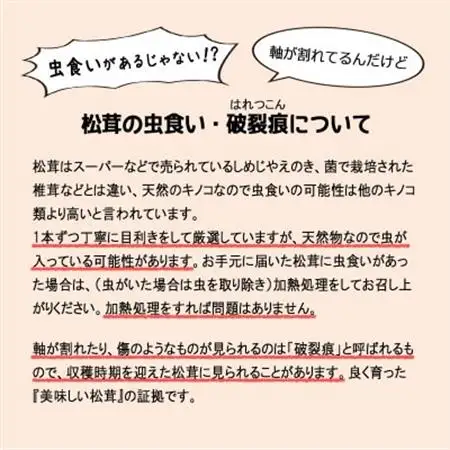 【2026秋発送】松茸マイスター厳選!旬の岩泉産松茸　250g(前後)_野菜 松茸 きのこ まつたけ マツタケ_【配送不可地域：離島】【1516081】