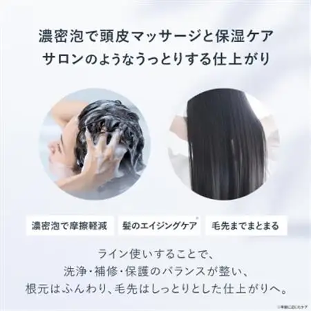 【毎月定期便】ルルーナ モイスチャーシャンプー＆コンディショナー(各300g)全3回【4052230】