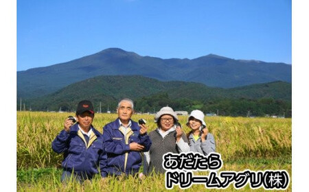 米 定期便 コシヒカリ 30kg （毎月10kg×3回）令和7年度 【おいしいお米コンクール受賞米 あだたらドリームアグリ】お米 令和5年産 精米 白米 定期 福島県 大玉村 ｜