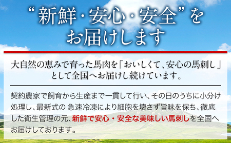 大トロ中トロ馬刺し盛り 600g 長洲町L（桜屋）《30日以内に出荷予定(土日祝除く)》馬刺し 熊本 長洲町 大トロ 中トロ 食べ比べ 馬肉 霜降り