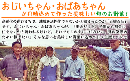 ＜せいよのうまいもんセット 3回定期便＞ 西予市産 愛媛県産 国産 旬 季節の野菜 やさい おまかせ 詰め合わせ 5～7品目 お楽しみ 特産品 百姓百品株式会社 愛媛県 西予市 【冷蔵】『1か月以内に第1回目を順次出荷予定』NHH0005