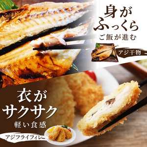 「青のまち 松浦」アジ堪能コース定期便全3回【2ヶ月毎配送】( 真アジ 鯵 アジ あじ アジフライ おかず つまみ 揚げ物 魚 魚介類 海の幸 鮮魚 おつまみ 一品長崎県 松浦市 ふるさと納税 )【D1-033】