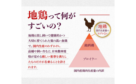 はかた地どり炭火焼セット500g(100g×5p)　AO043
