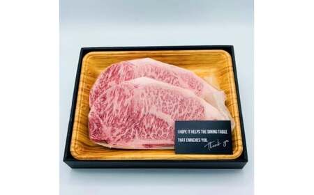 【毎月定期便】【A4～A5】博多和牛サーロインステーキ 500g (250g×2枚) 全3回　AO074
