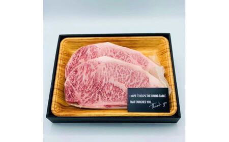 【毎月定期便】【A4～A5】博多和牛サーロインステーキ500g (250g×2枚) 全6回　AO075