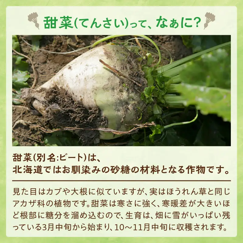 ホクレン 上白糖 1kg × 10袋 砂糖 てんさい糖 砂糖_S012-0011