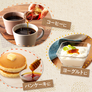 【 6回 隔月 定期便 】 とか蜜 700g × 3本 セット 【 定期便 低カロリー てんさい糖 ヨーグルト コーヒー お菓子作り 煮物 隠し味 手作り 天然のオリゴ糖 贈り物 お取り寄せ 北海道 清水町  】_S019-0006