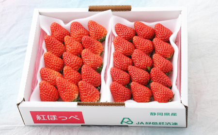 【2027年1月中旬より順次発送】紅ほっぺいちご 約260g×2パック【配送不可：離島】 