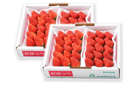 【2027年1月中旬より順次発送】紅ほっぺいちご 約260g×4パック【配送不可：離島】 