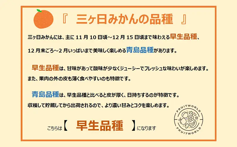 【2026年11月中旬より順次発送】 三ヶ日みかん 早生 6kg M～L 早生みかん みかん 蜜柑 ミカン 果物 くだもの 旬のフルーツ 旬の果物 季節のフルーツ 季節の果物 柑橘 柑橘類 静岡 静岡県 浜松市