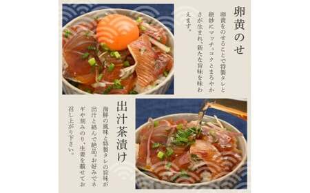 【6回定期便】訳あり土佐の海鮮漬け丼（5種×各2袋）セット 漬け丼の素 タイ 鯛 ブリ 鰤 マグロ 鮪 イカ カツオ 鰹 たたき 新鮮 魚 おかず おつまみ 惣菜 小分け【企業組合　宇佐もん工房】 [BQAB015]