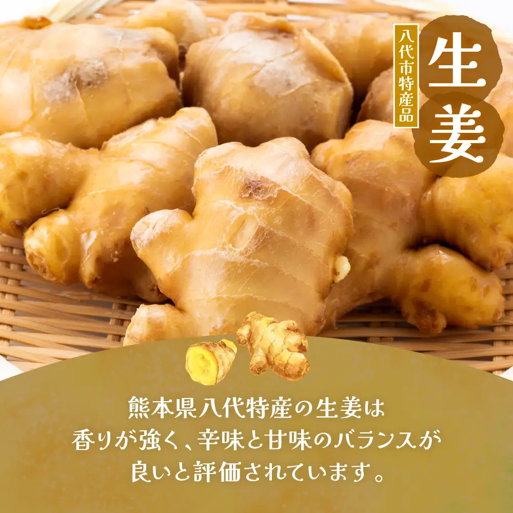 熊本県 八代市産 晩白柚ペースト・晩白柚ゼリー・トマトピューレ・しょうがシロップ 『八代満喫セット』4種入り　ばんぺいゆ 柑橘